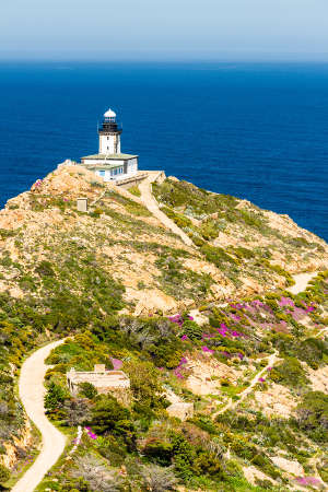 Córcega