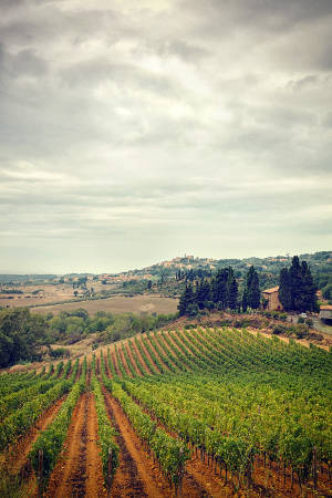 Toscana
